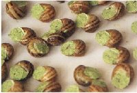 escargots beurre.jpg (20483 octets)